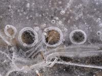 Luftblasenreihe in milchigklarer Eisfläche